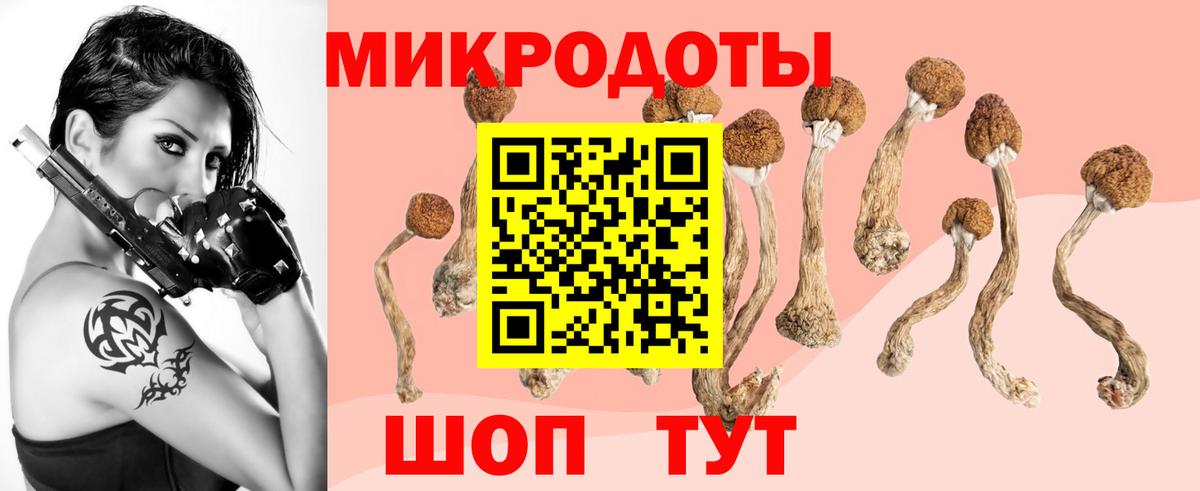 Галлюциногенные грибы Psilocybine cubensis Звенигород
